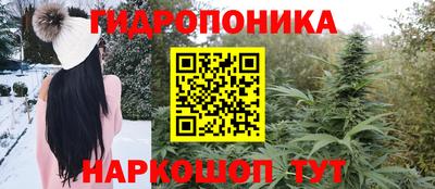 a pvp Свободный