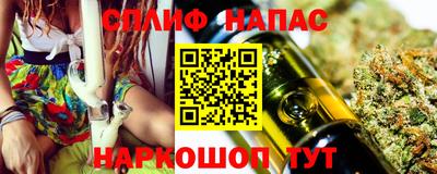 хмурый Сланцы