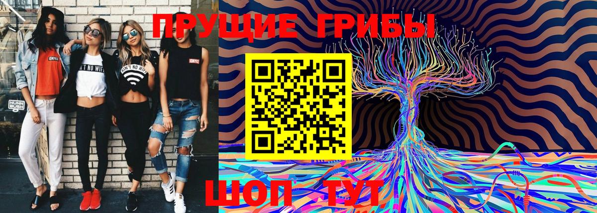 Галлюциногенные грибы Cubensis  купить наркотики сайты  Владивосток  Вход с VPN 