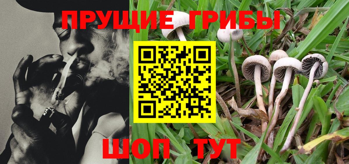 Псилоцибиновые грибы MAGIC MUSHROOMS Владивосток